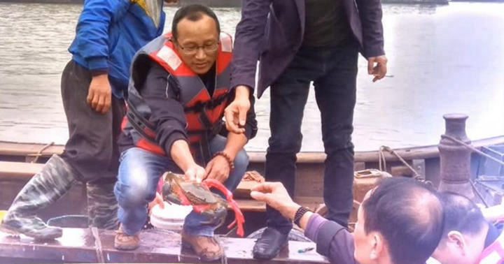 般若堂慈善中心2017药师佛圣诞放生